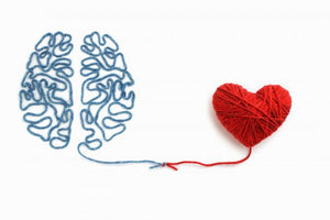 How Your Heart May Be Your Wisest Brain